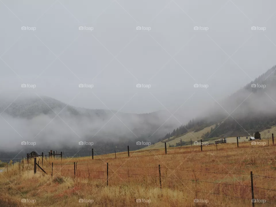 Fog