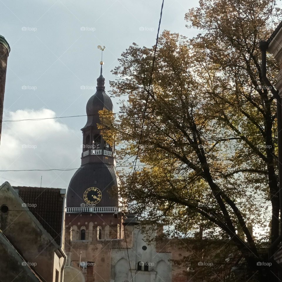 Домский собор в Риге