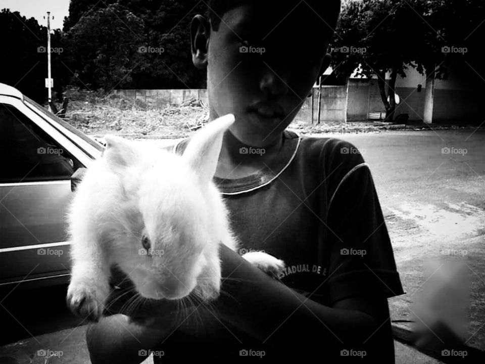 Criança com animal de estimação. Coelho