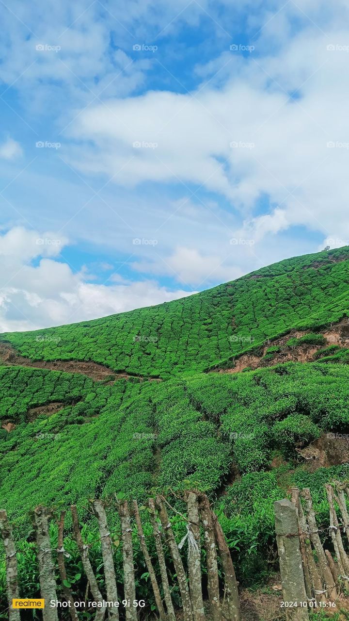 munnar