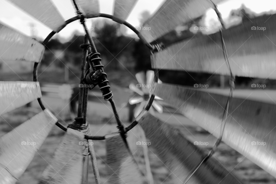 Through the windmill I see more windmills