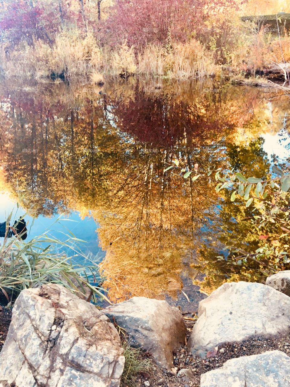 Fall reflections 