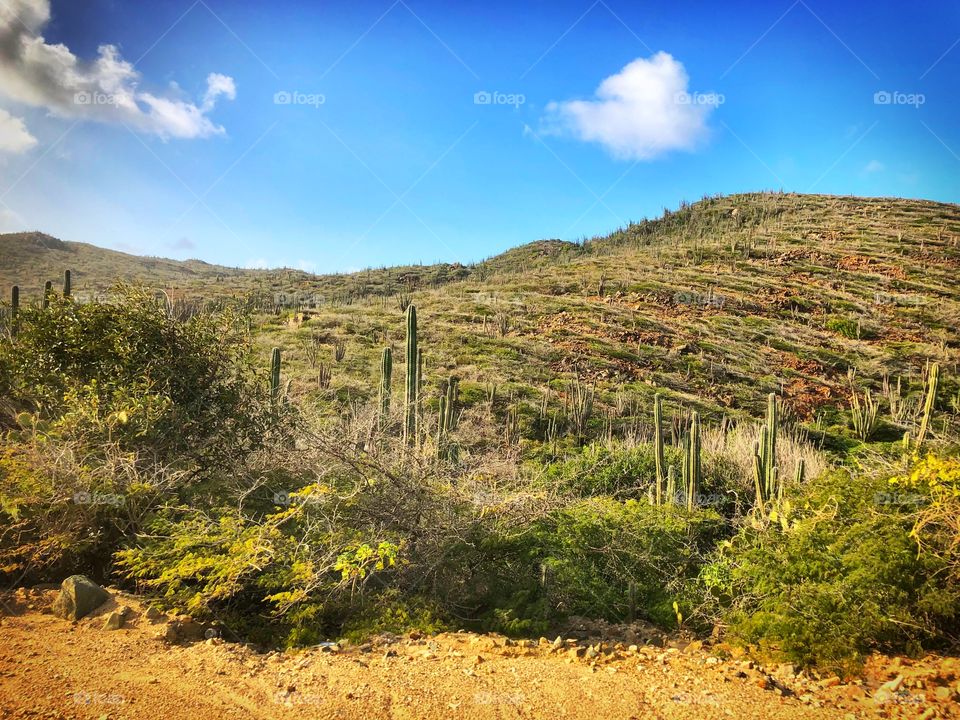 Beautiful land in Aruba. Great scenic views during UTV excursion with Carnival Sunshine Cruise 2018