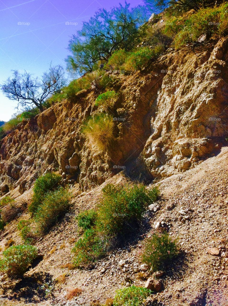 Desert landscape in Arizona 