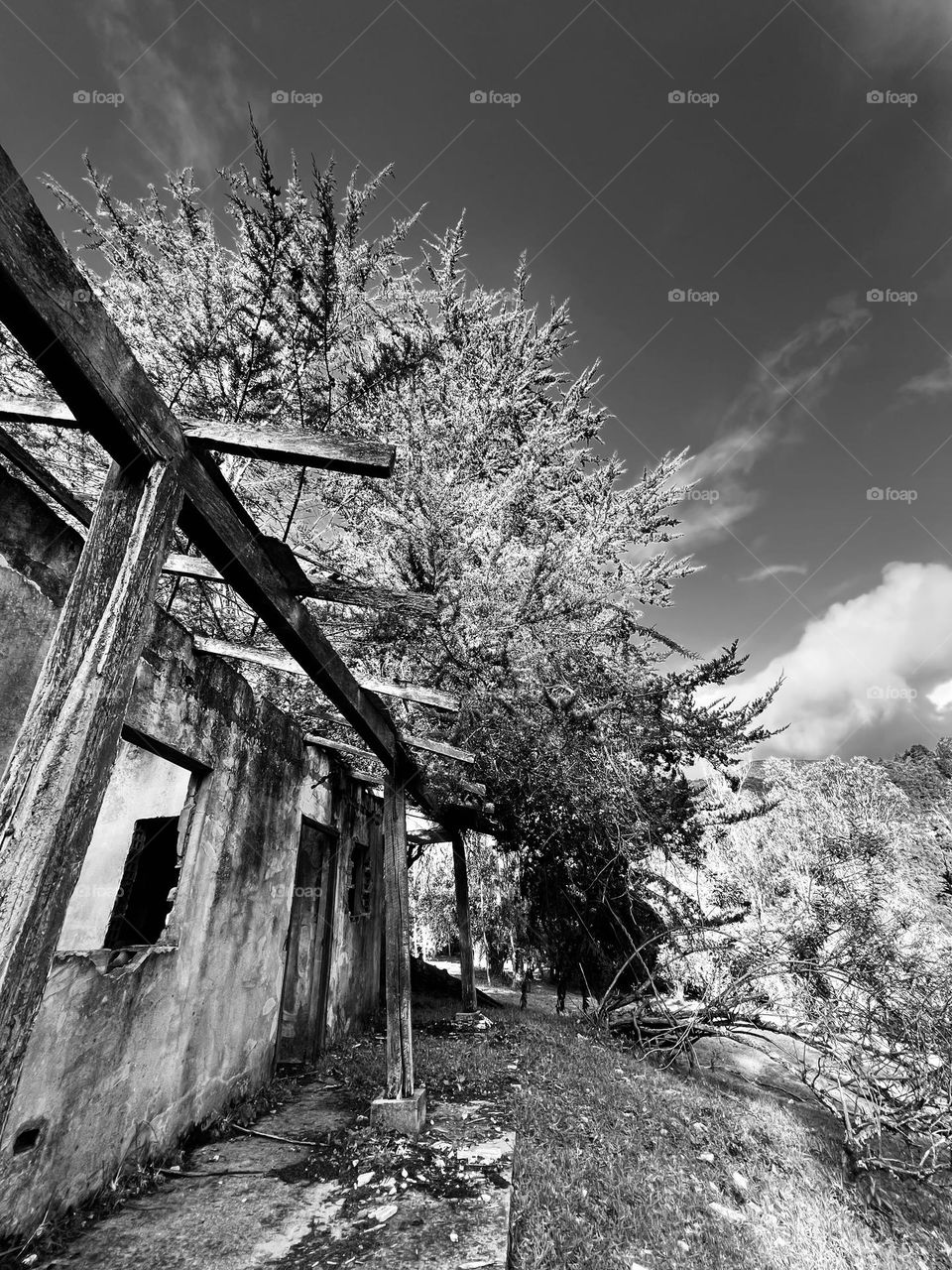 Casa abandonada 