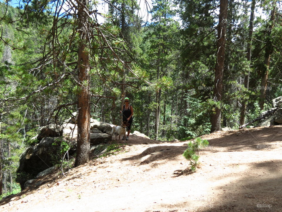 Hiking trail in Colorado.