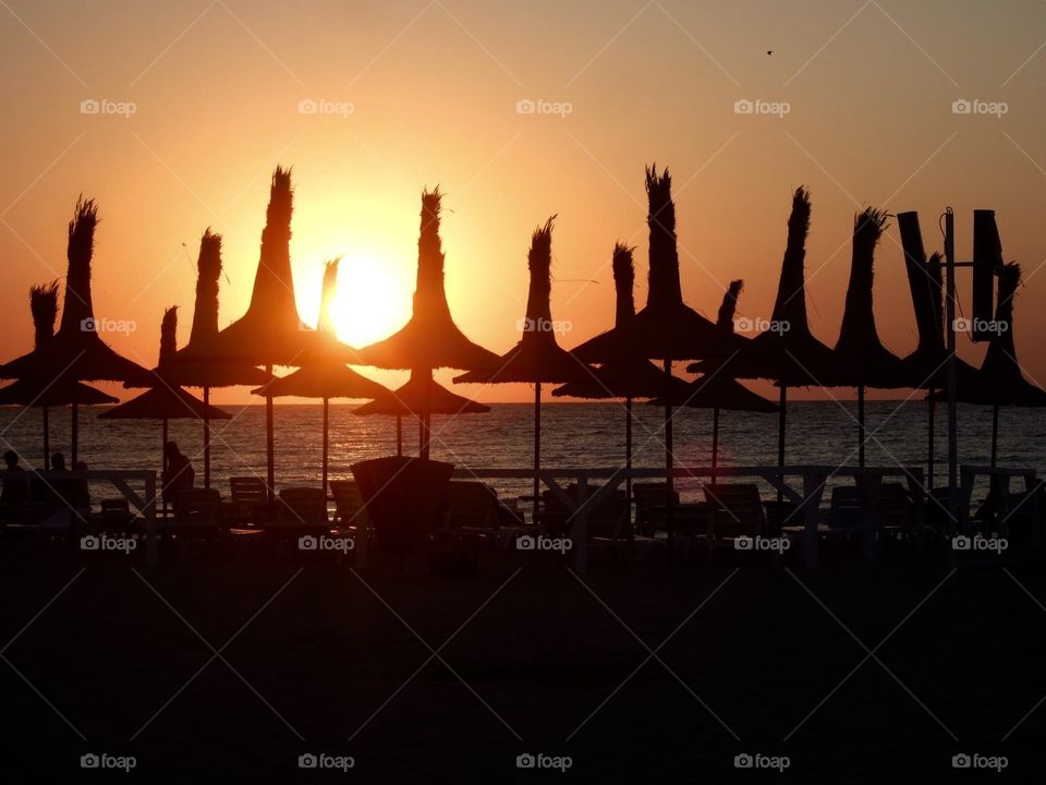 Sunset Silhouettes