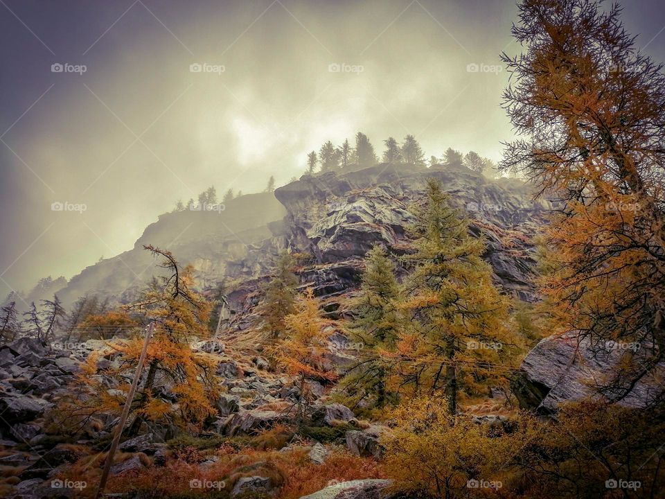 view of Mountain, fog, trees With autumn colours