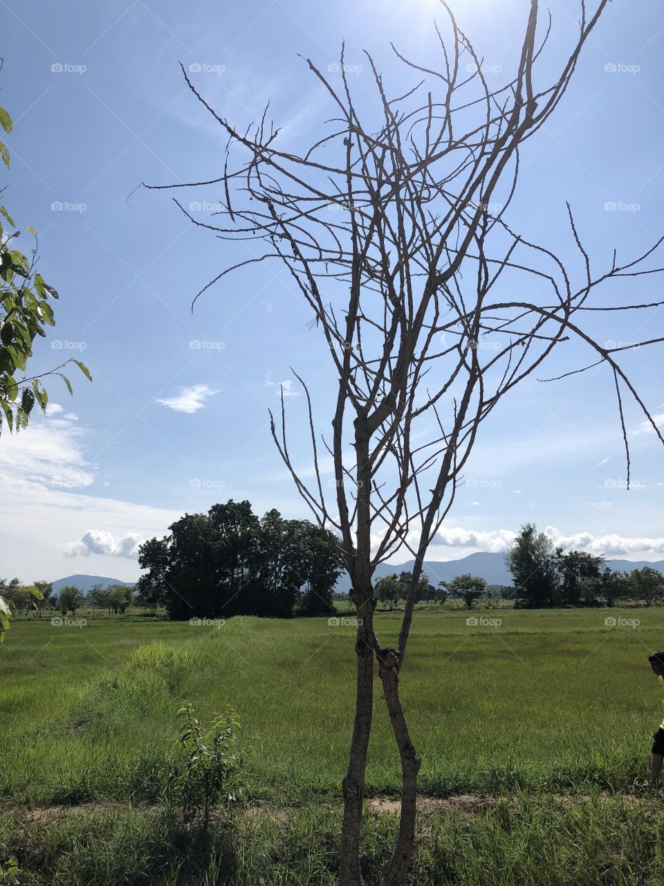 Holiday with my family, Countryside ( Thailand 🇹🇭