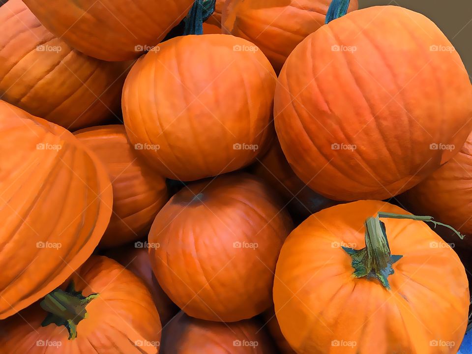 Bright, orange Pumpkins.