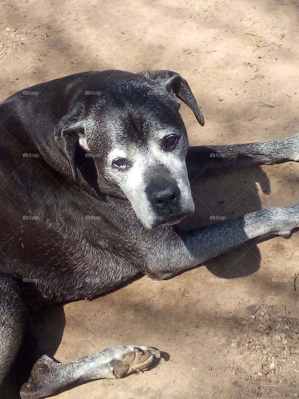 I love you Kwanita you are my baby girl. soon it will be time for you to leave this world.