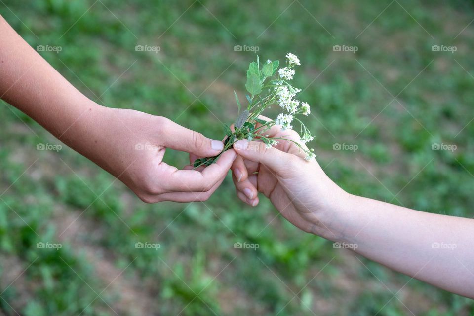 Summer Teenage Romance