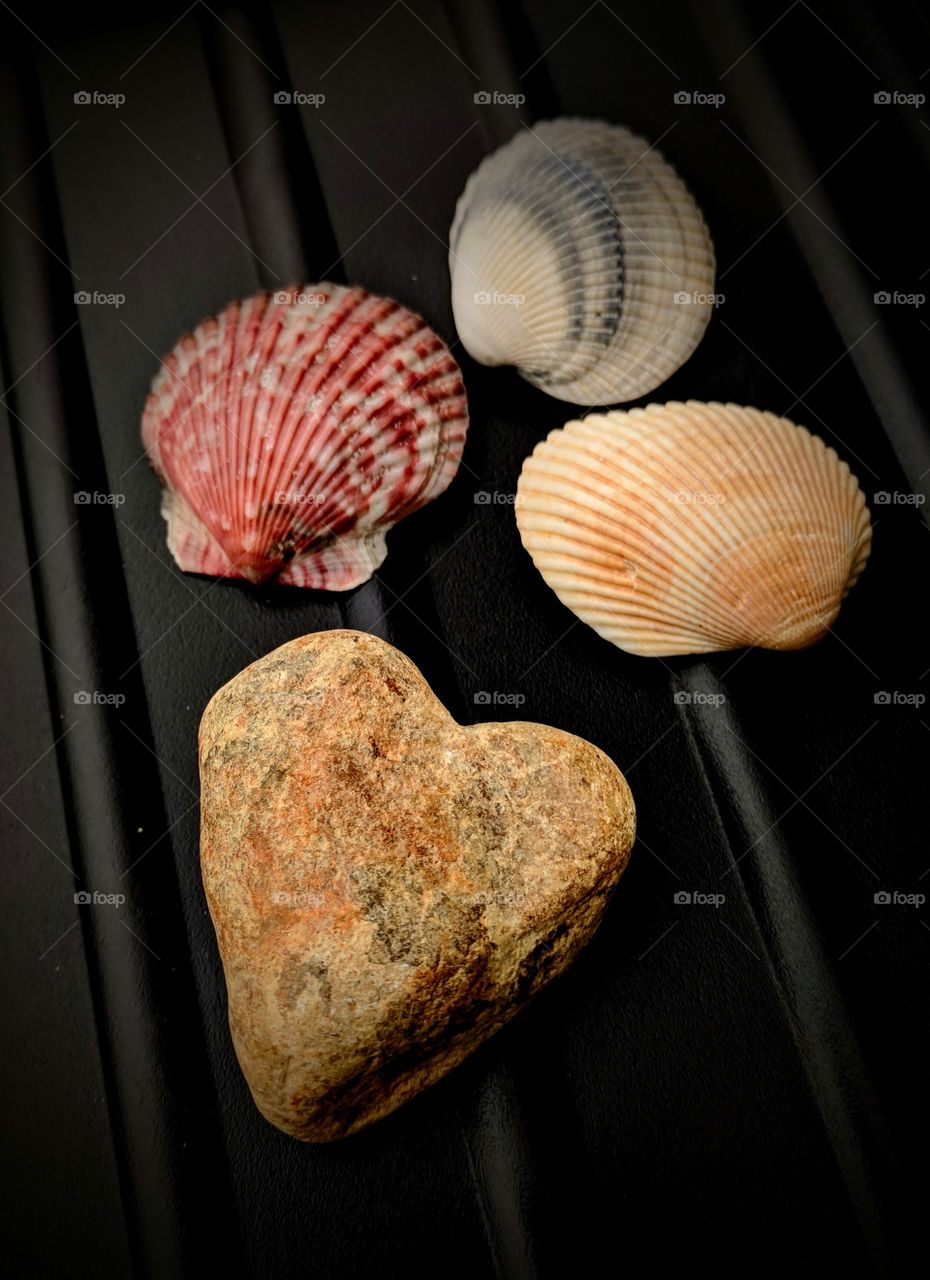 Heart Rock My Love and Shells My Boys