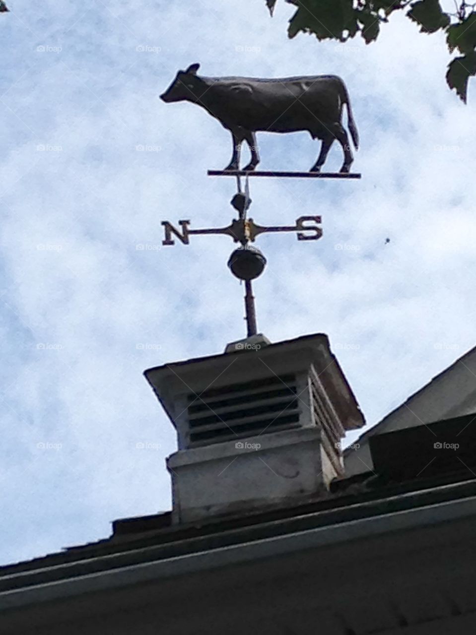 Cow Copper Weathervane. Cow copper weathervane sitting atop of a cupola. These are normally placed on a peak or a highest point of a home.