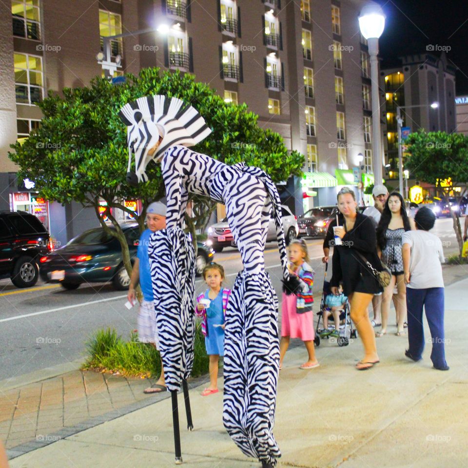 human zebra