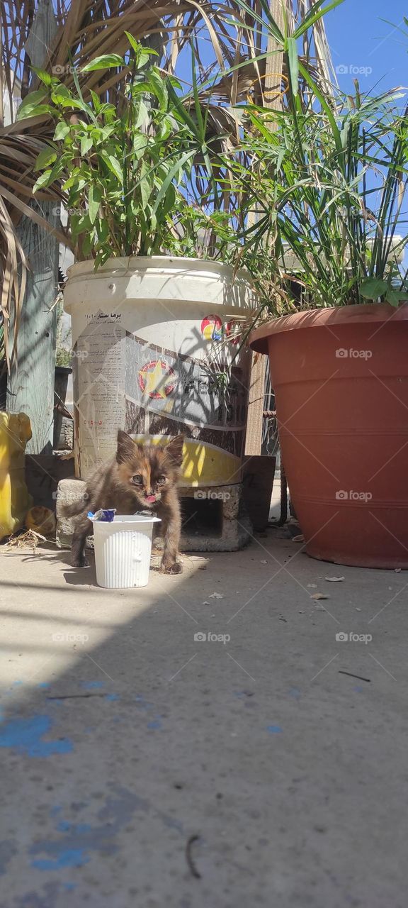 #selfie #nature #followme #beauty #art #follow #beautiful #tbt #photooftheday #love #photography #instagood #fitness #photo #like4like #instalike #fashion #summer #me #instadaily #style #picoftheday #food #travel #repost #happy #instagram #intags #gi