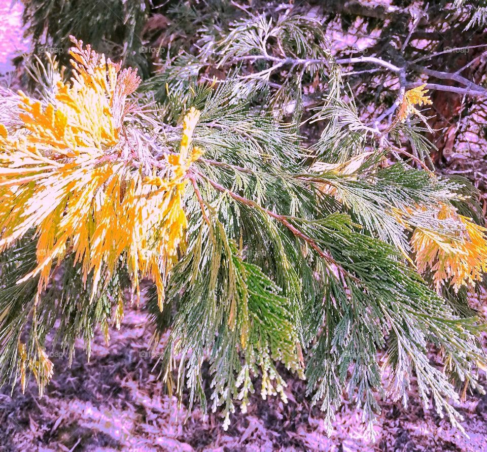 Beautiful autumn ❤️