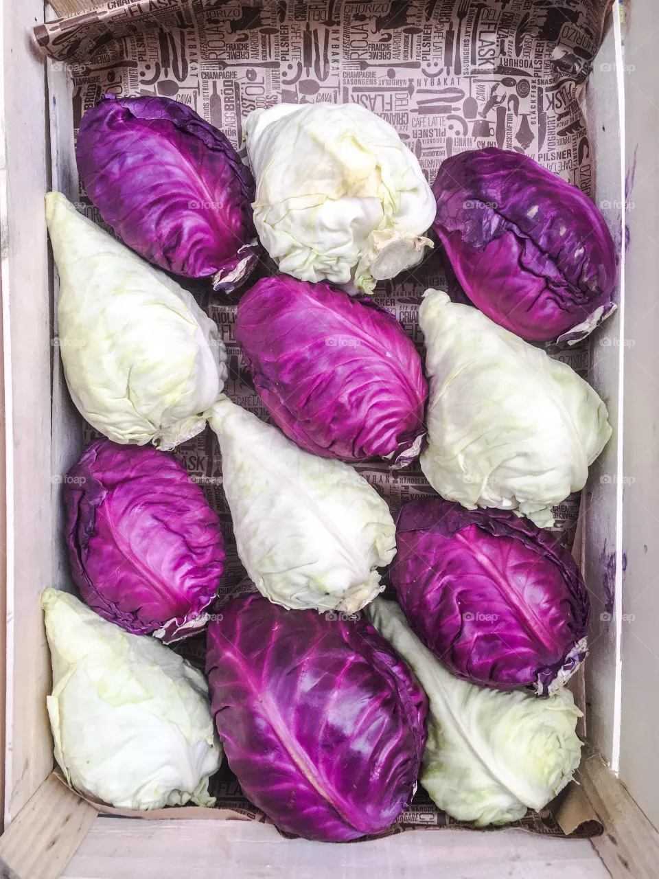 Pretty cabbages in a box
