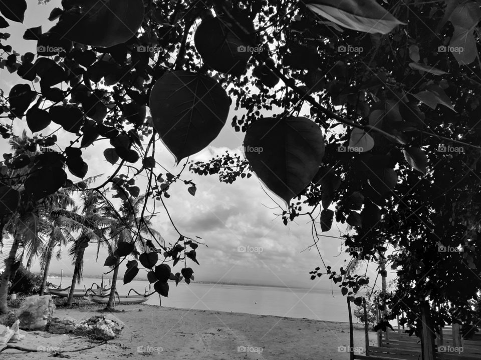 Monochrome style of a beach view that was framed by leaves