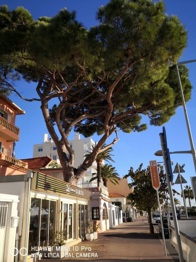 Follow my picture, Cagnes-sur-Mer in France