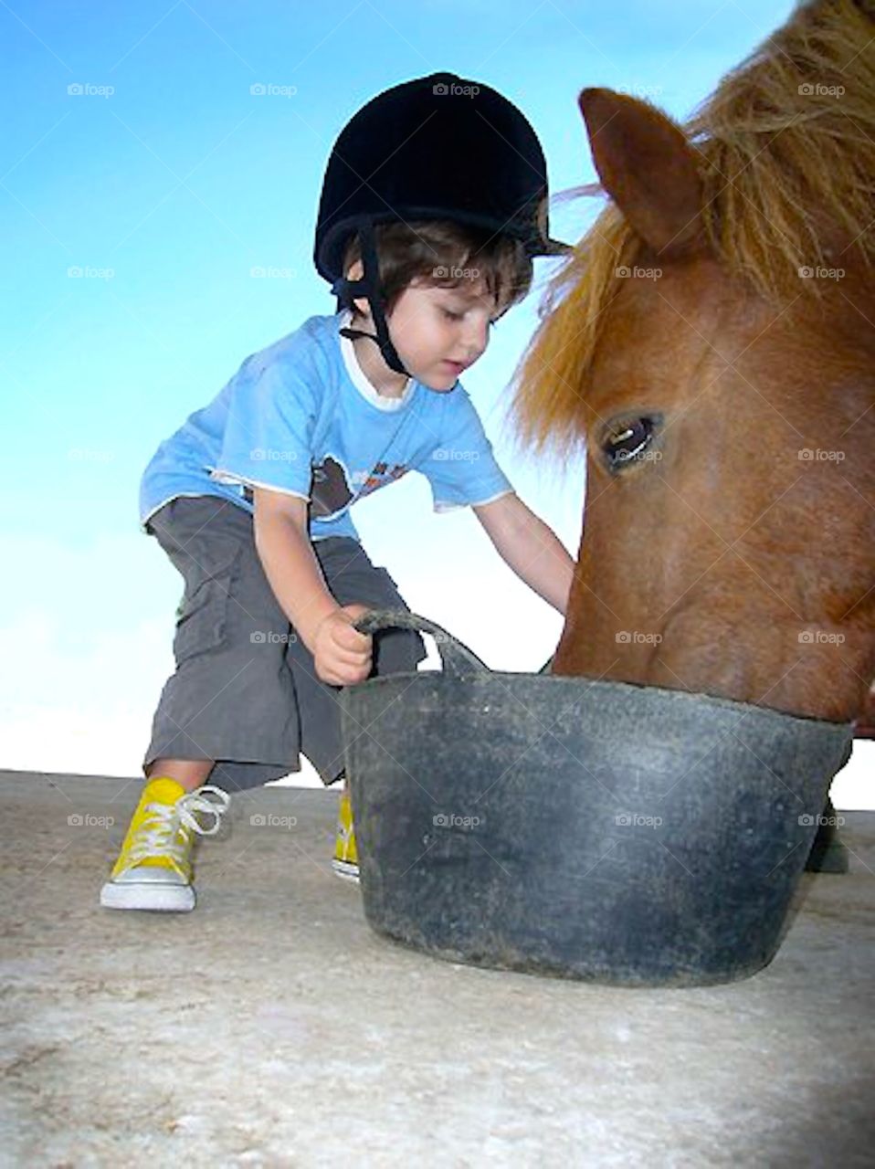 ridding school. Valencia