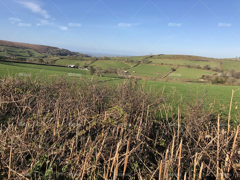 First of three fine examples of Devon in the UK’s finest countryside and if the sun shines down it’s wonderful.