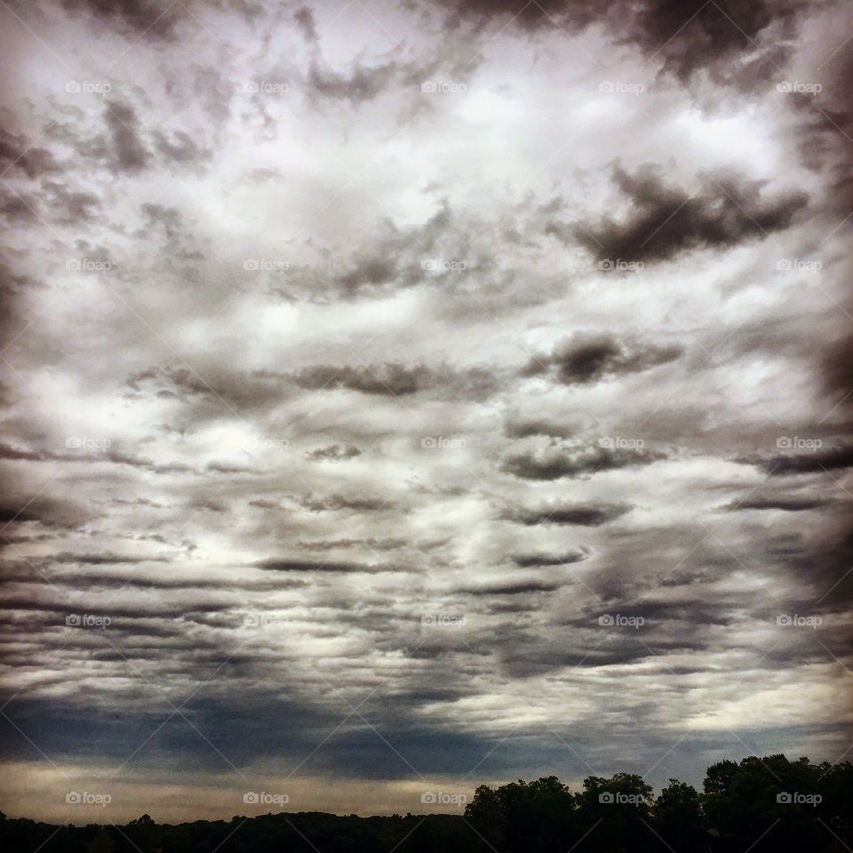 Cloudy day on the lake 