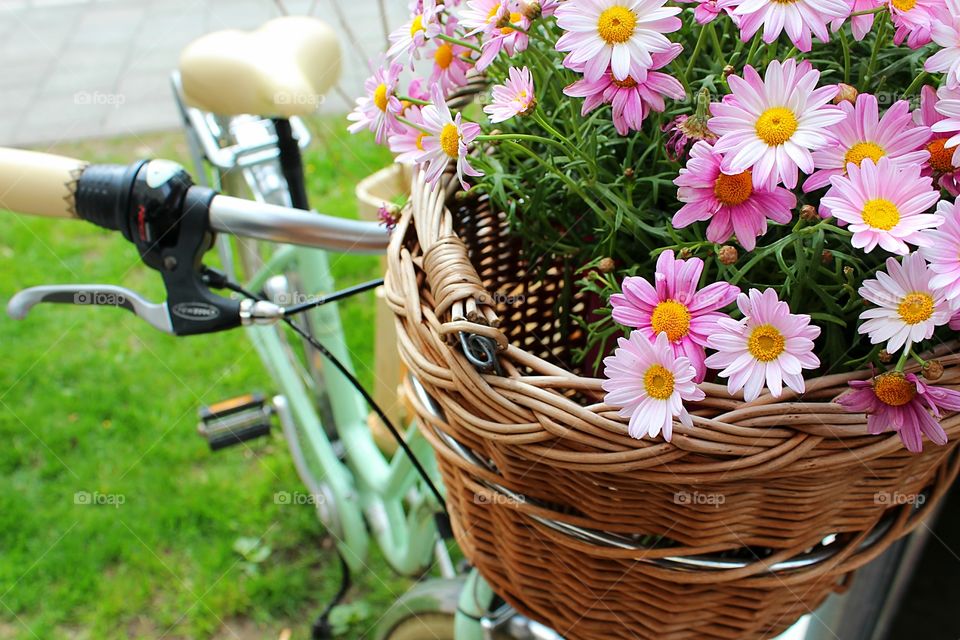flowers in the basket of a bike