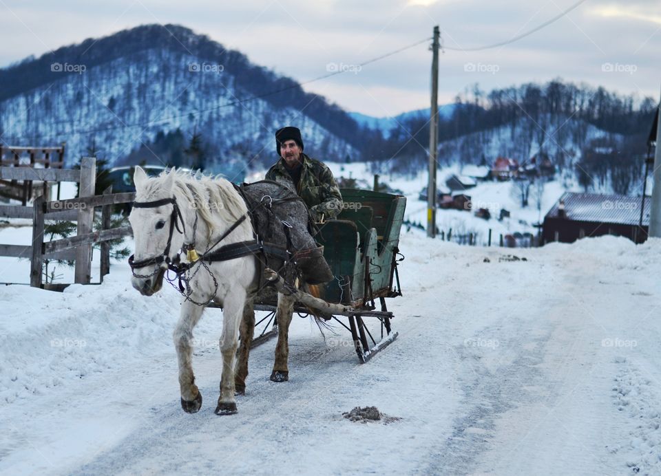 Man riding on horse cart in winter