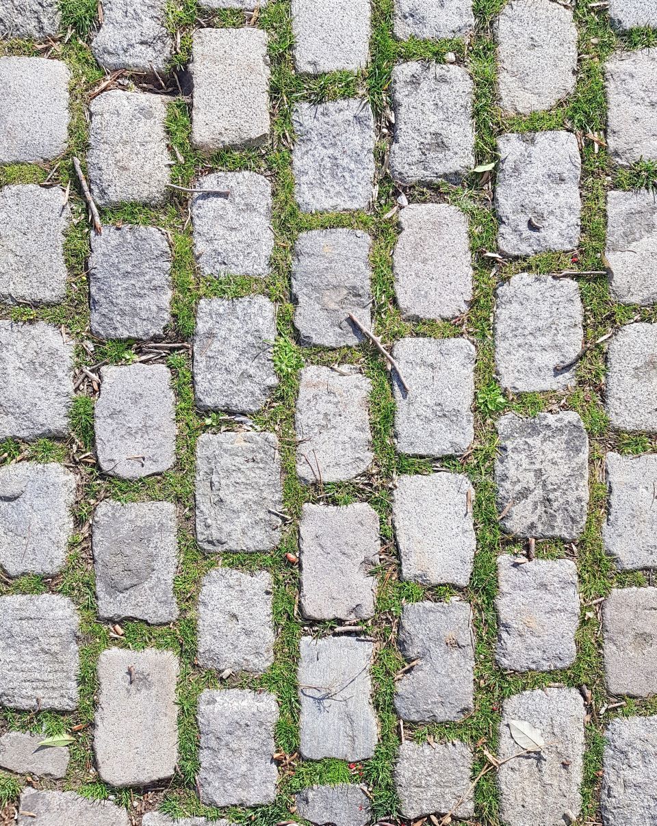 pavement viewed from above with grass in between stones and some wooden pieces scattered