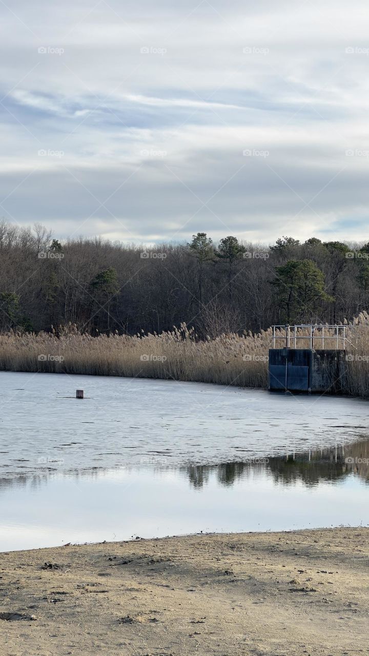 Pond surrounded with tall grass.