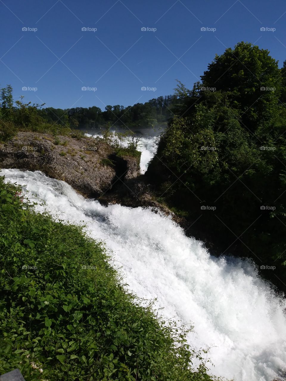 Rhein Wasserfall Schweiz