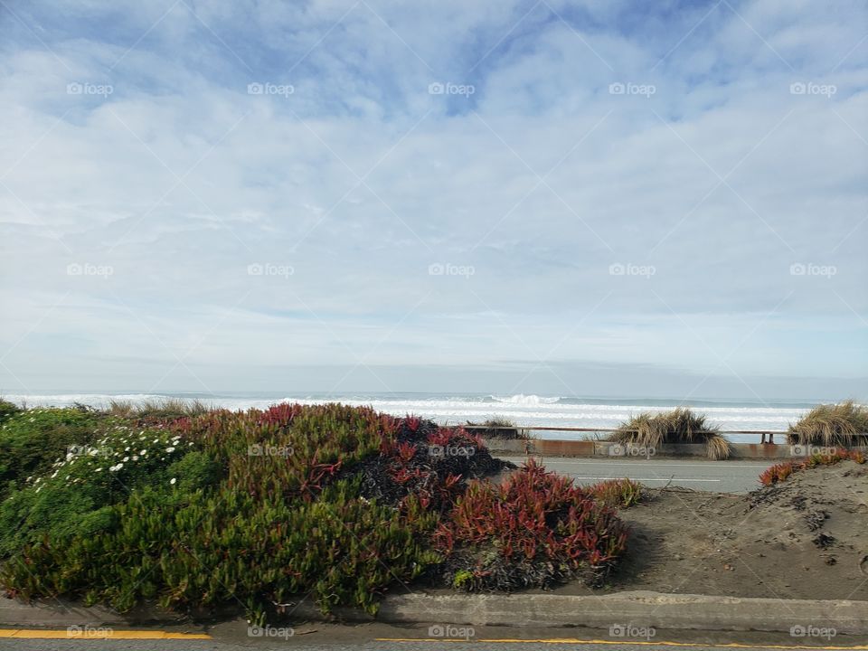 California Coast Freeway View