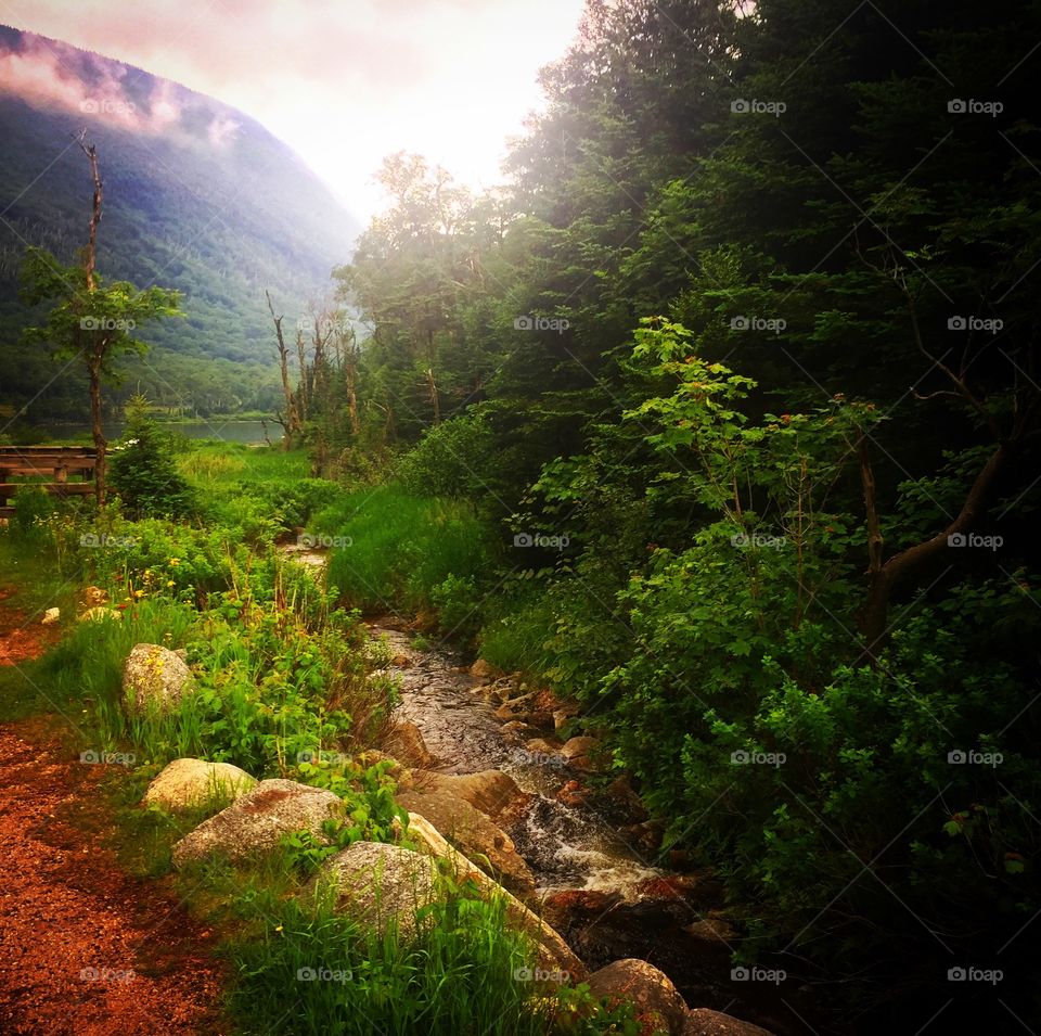 Path to Old Man in the Mountain, Nee Hampshire 