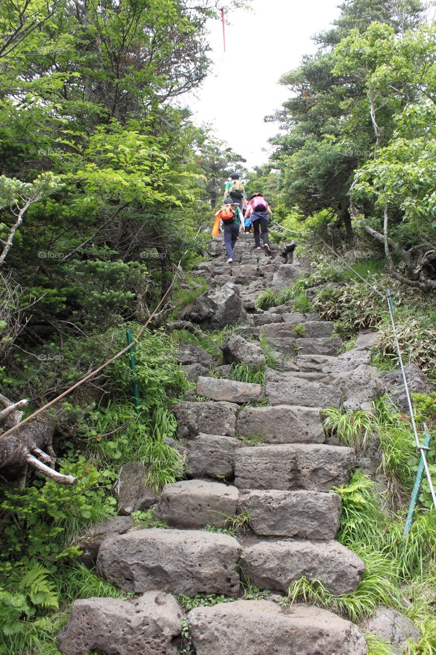 Steps up Hallasan
