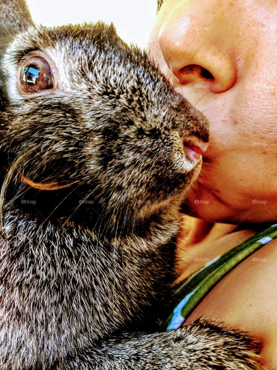 beijos coelhos
