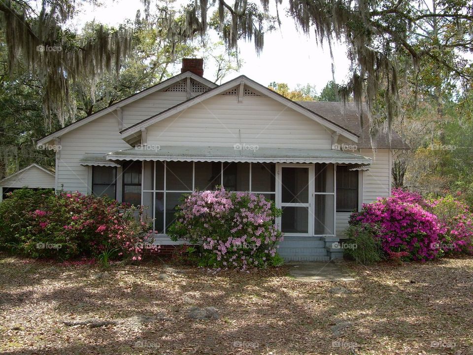 Southern Home with Azaleas