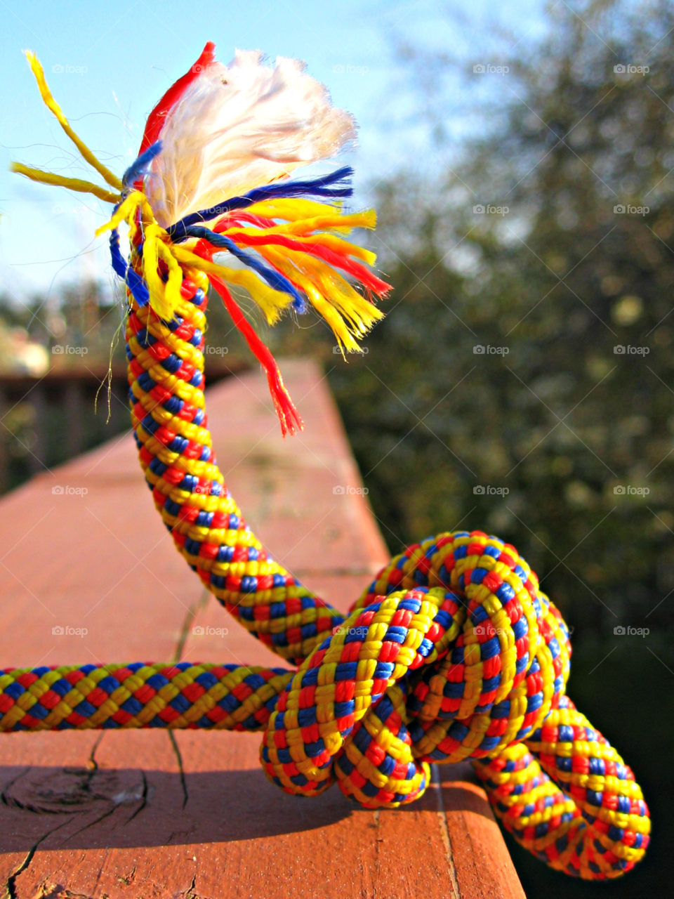 Colorful Rope