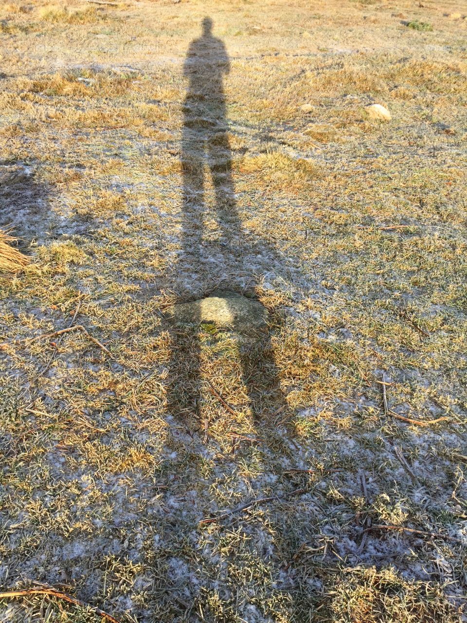 Shadow in the winter landscape Kalmarsundsleden Sweden 

