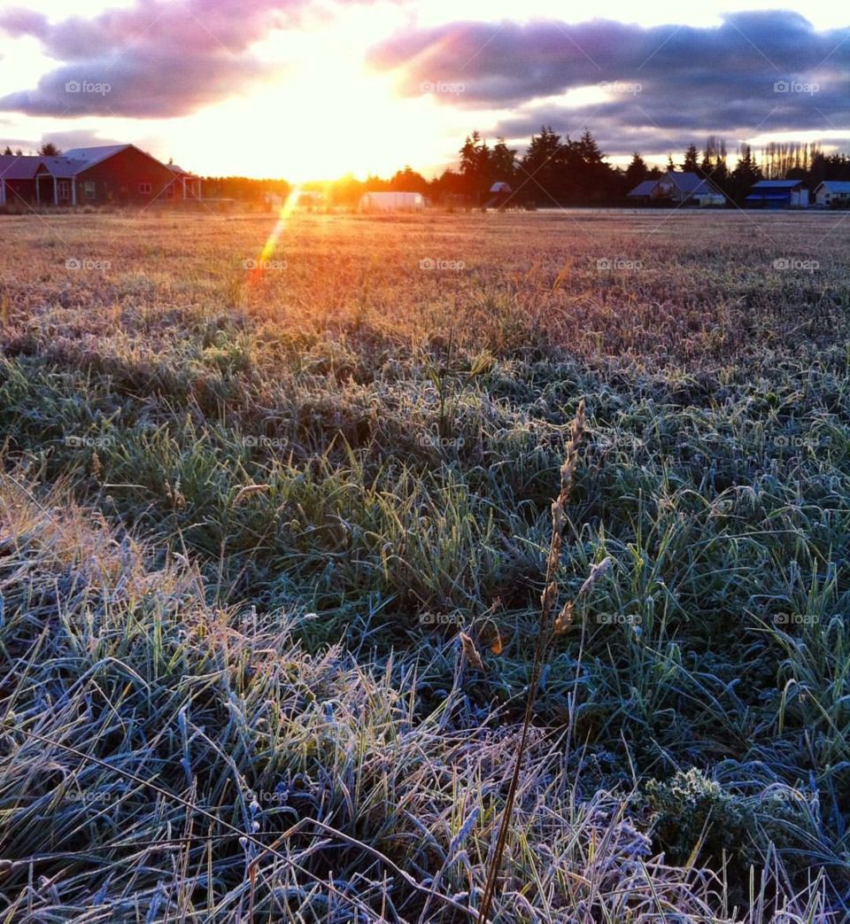 Sunrise on a frost field