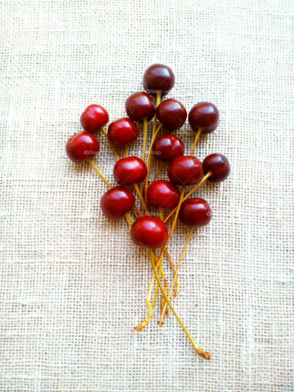 Cherry against white backgrounds