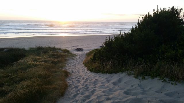 Water, Beach, Landscape, Seashore, Sea