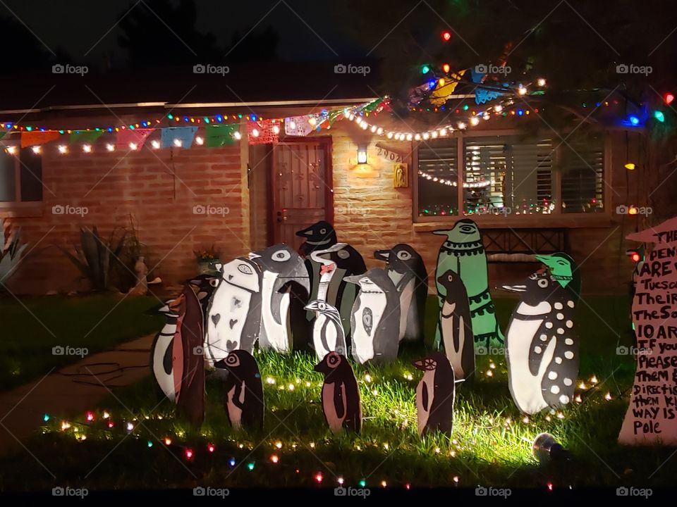 penguins for Christmas lit up the front yard