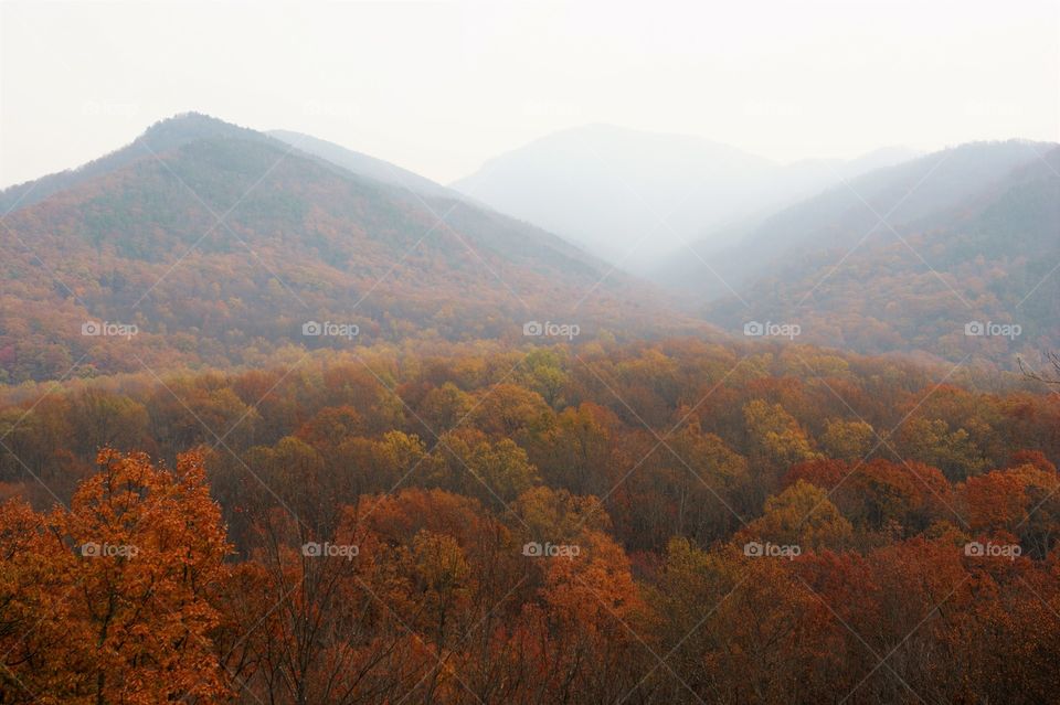 Beautiful smoky mountains during autumn