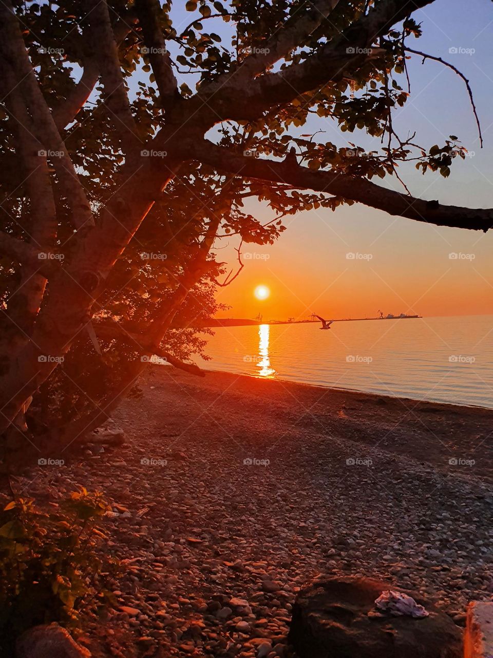 Beautiful sunset by the sea in a summer evening.