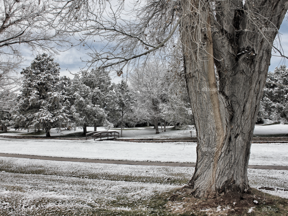 sedona bridge creek snow by stevehardley7