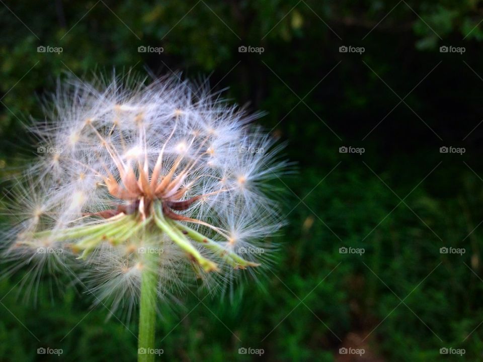 Waiting on the breeze