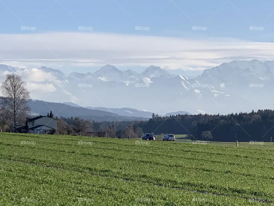 Swiss 