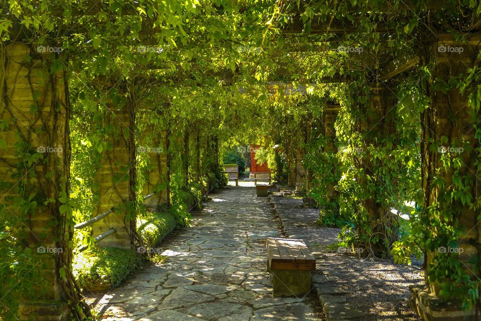 Empty footpath amidst pillers in a park