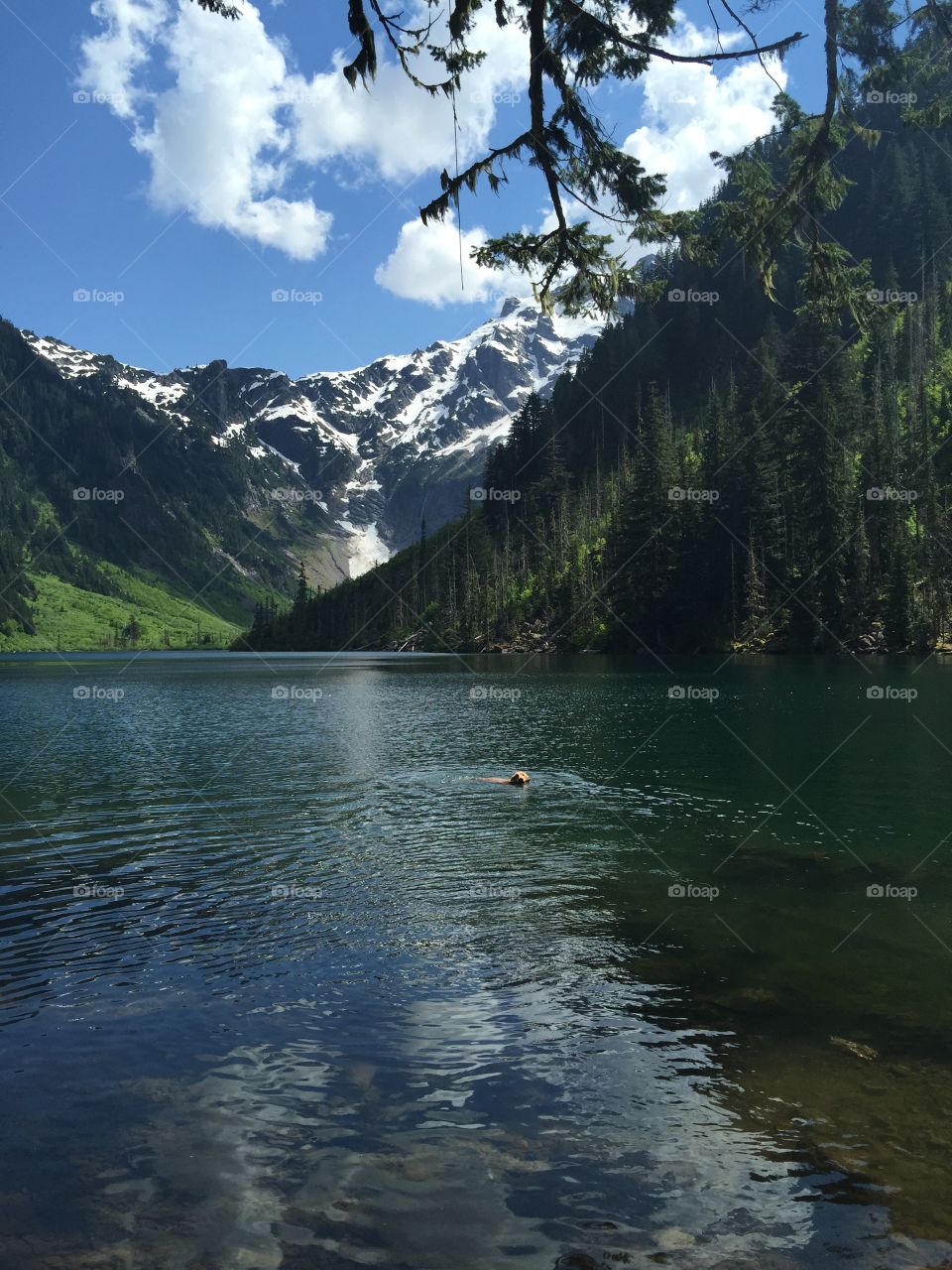 Goat Lake. Summertime swimming in the mountains 